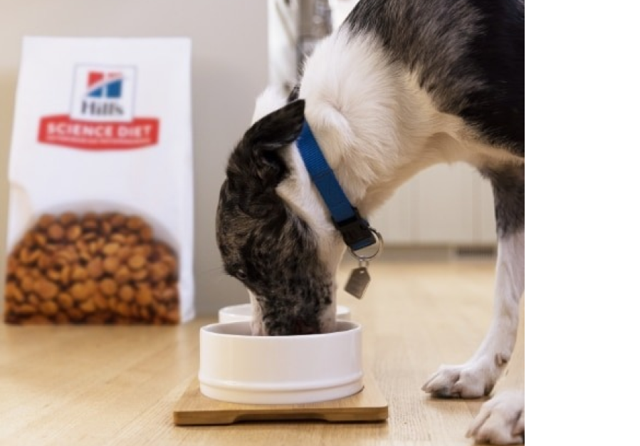 A dog eating Hill's Science Diet dog food from a bowl
